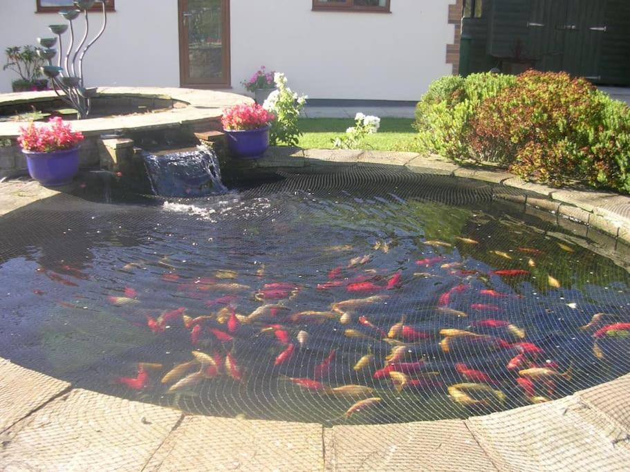 Coastal Garden Lodge Preesall Экстерьер фото